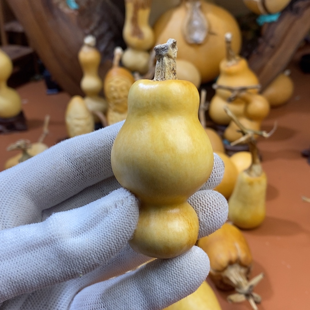 三***少桂林教练教练监控