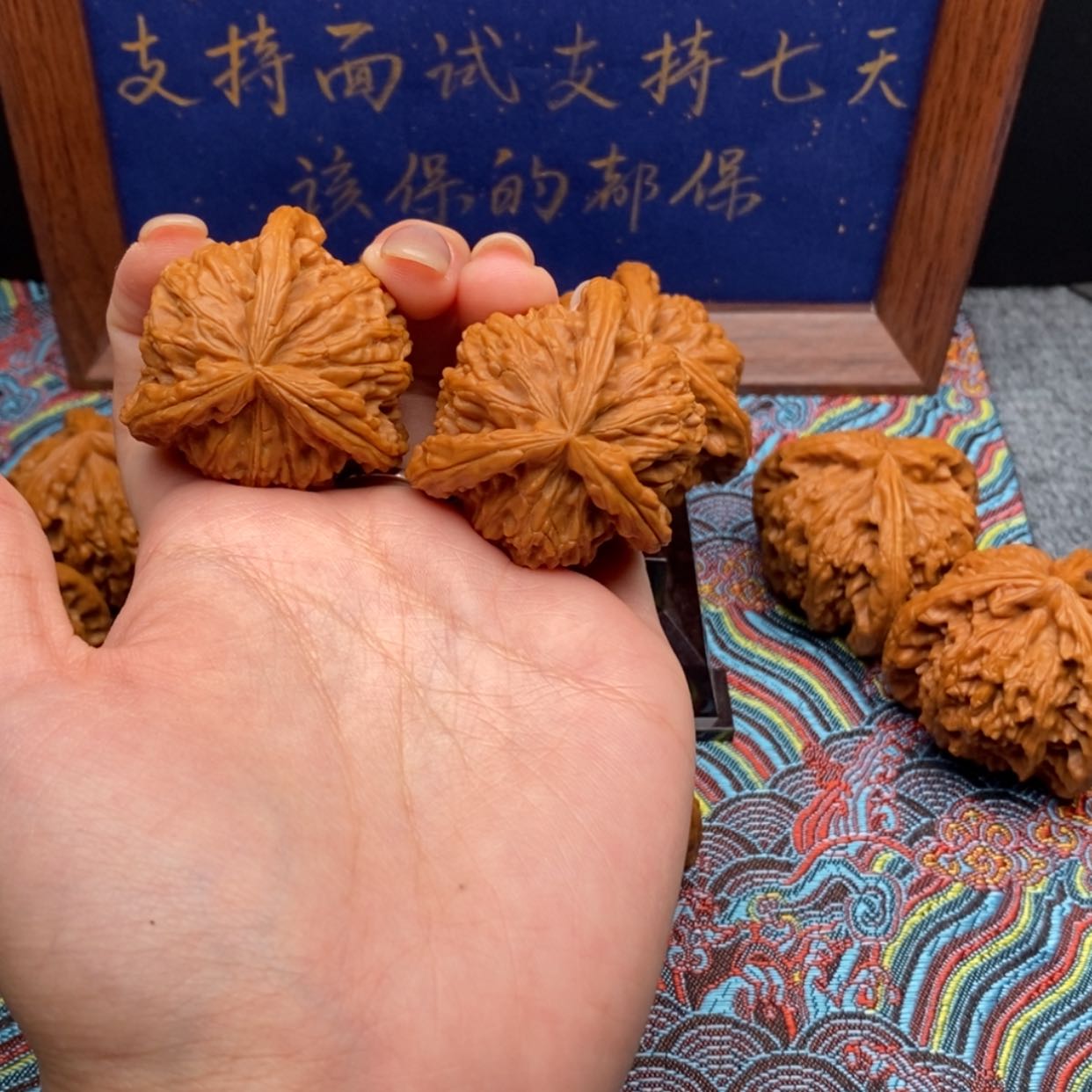 【闪购商品】白狮子及工具