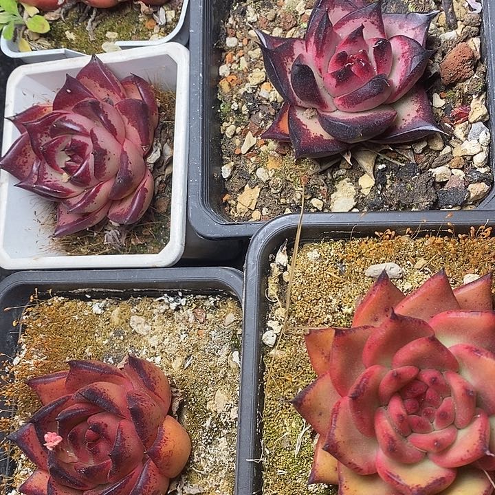 29/////////////////////