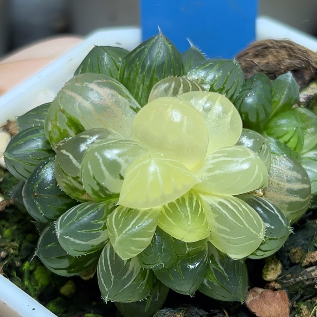 恭喜发财大吉大利893