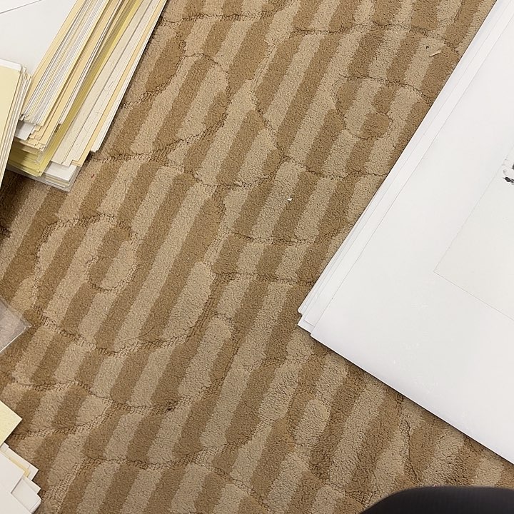 国画笙*花鸟的翅膀和翅膀都是去了不知道