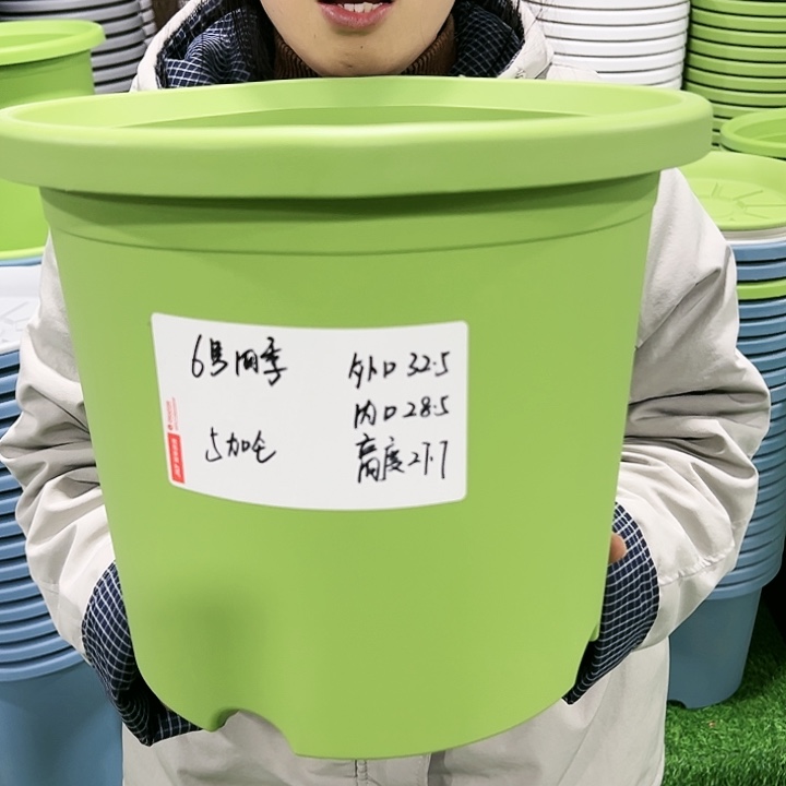 特价6号四季口32高28果绿色无托4只