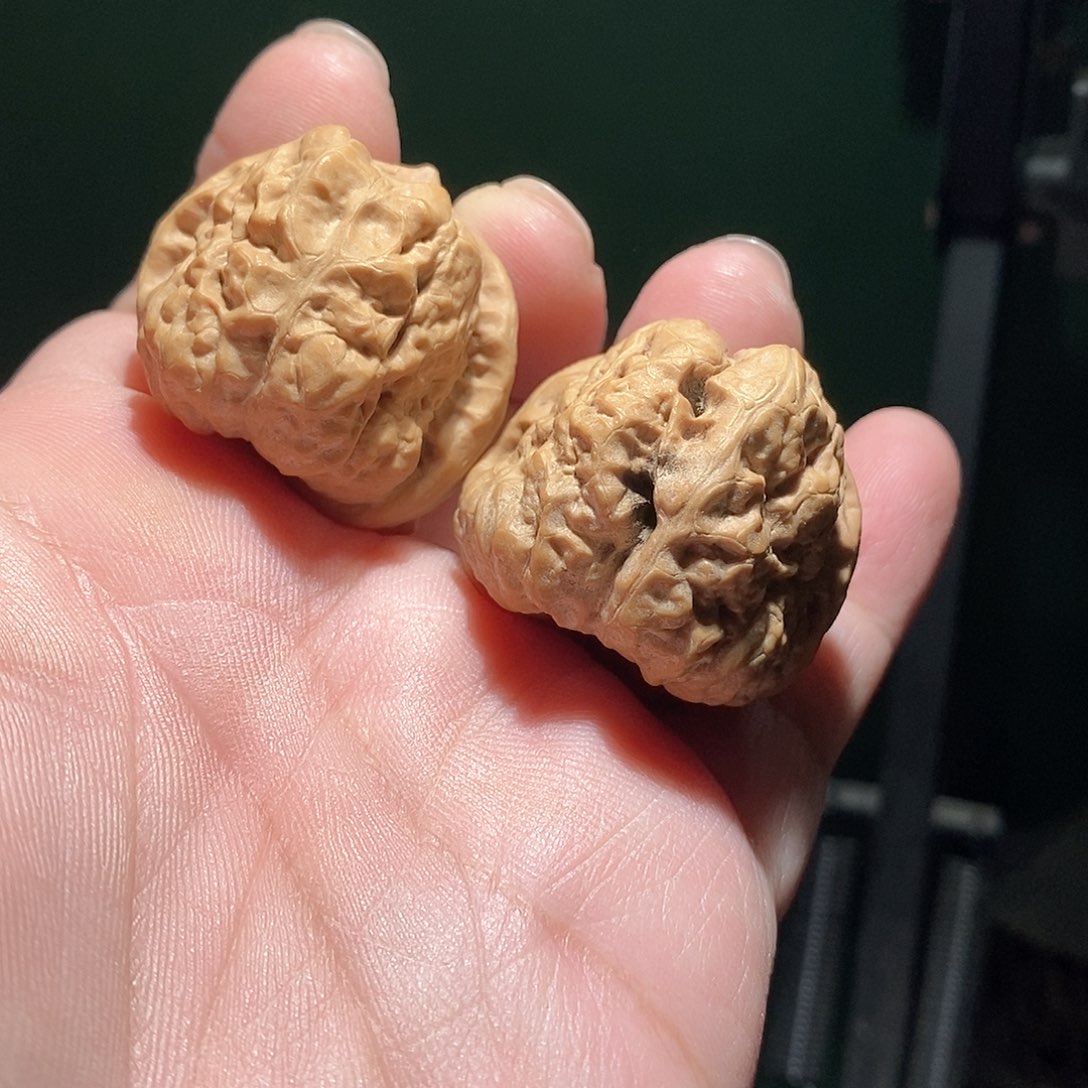 蕾***i文玩核桃把件38肚蛤蟆头全品