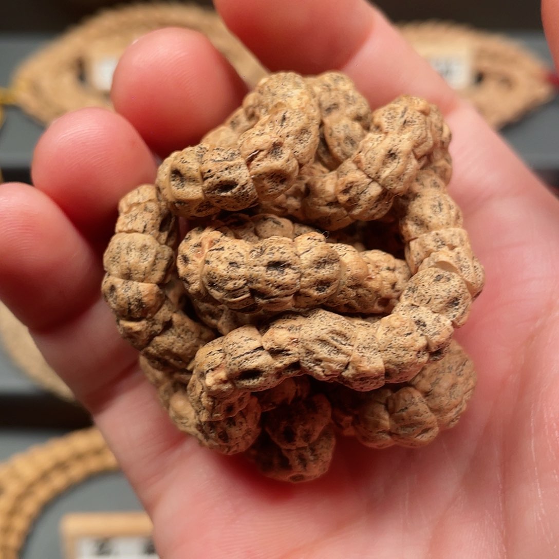 吊坠柏香籽/百香籽大尺寸满鬼大肠