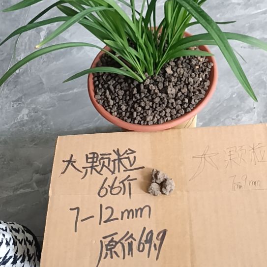 張***～兰菌颗粒大颗粒6.6斤