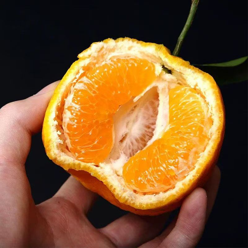 来自【云南哀牢山】耙耙柑椪柑皮薄肉厚香甜多汁新鲜采摘产地直发