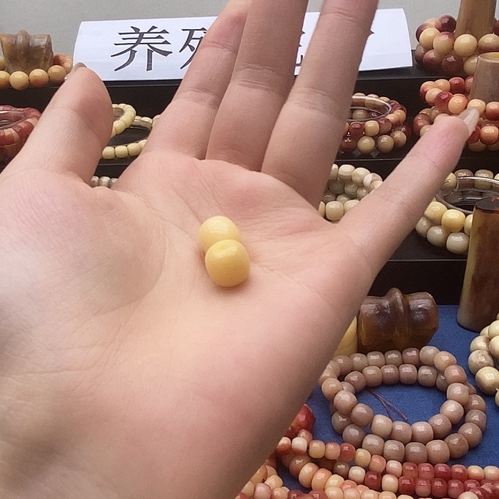 驼骨手串/手链驼骨