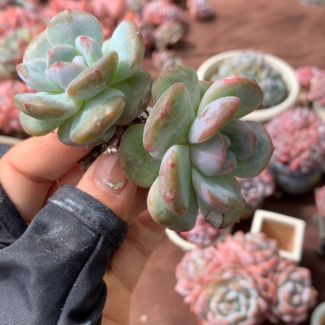 哈哈哈哈哈哈哈哈哈哈哈