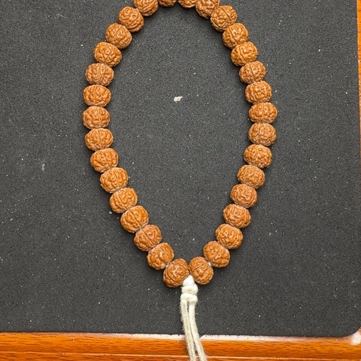 金刚菩提手串1号10.5尺寸老树王