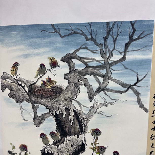 李老师四尺花鸟精品