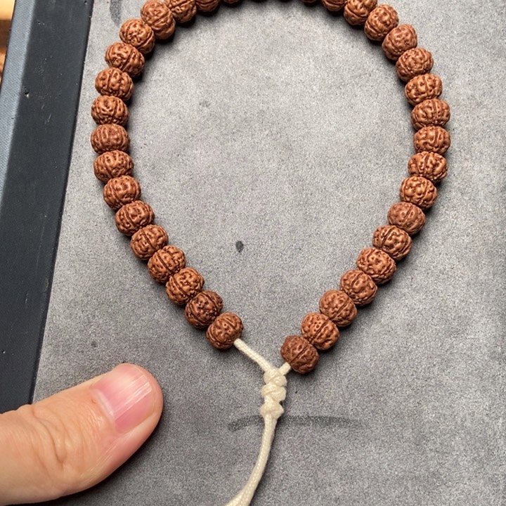 金刚菩提吊坠福利款勿里达老树王