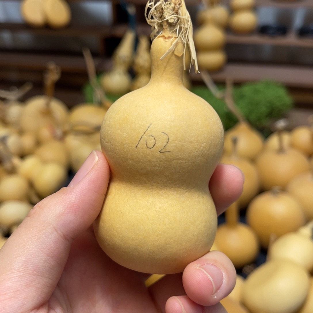 闪拍葫芦链接-102号品