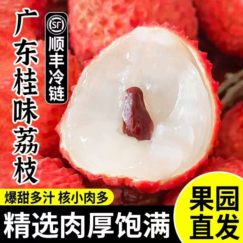【外省顺丰特快】广东茂名高州桂味糯米糍荔枝现摘现发新鲜核小肉厚