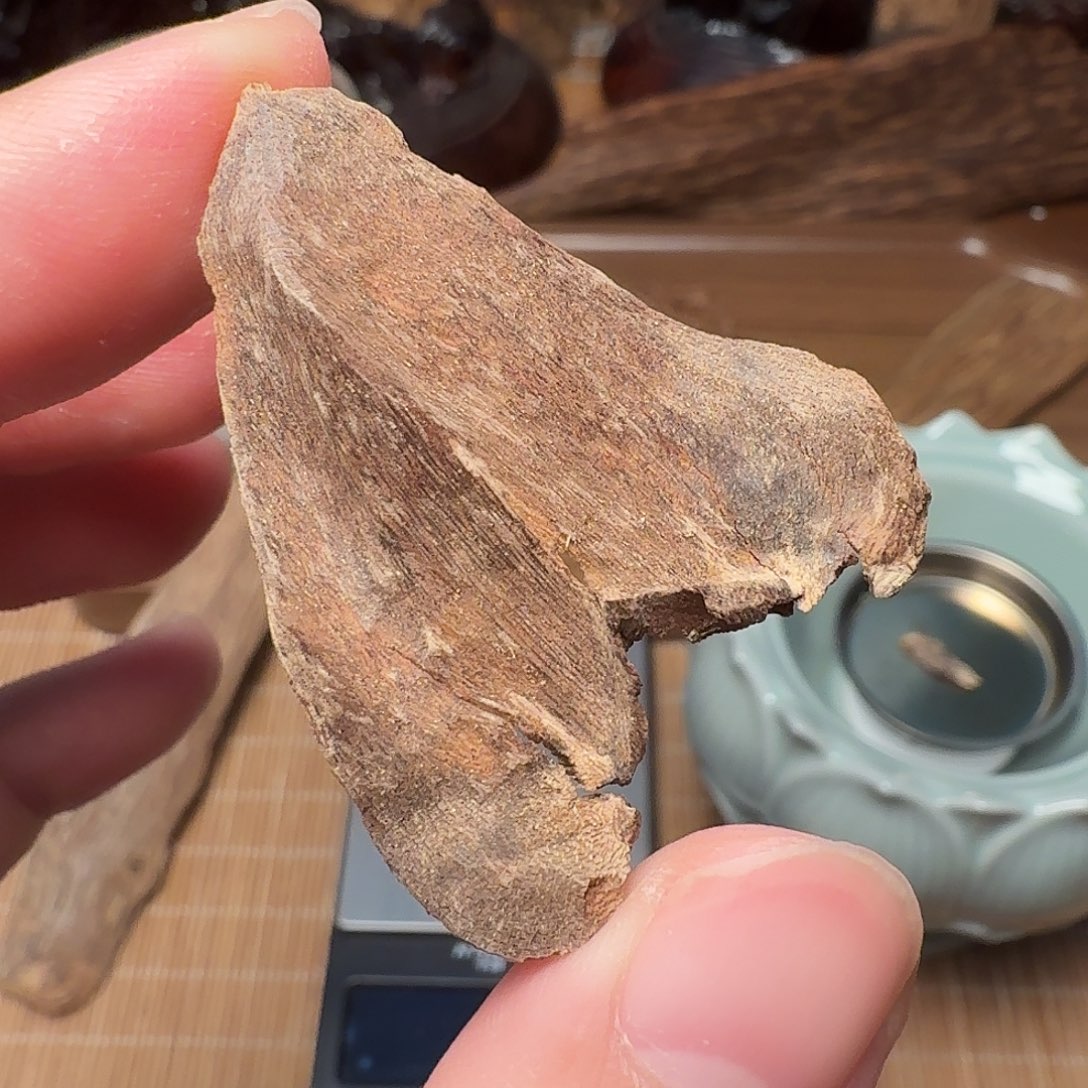 沉香国香香港壳子