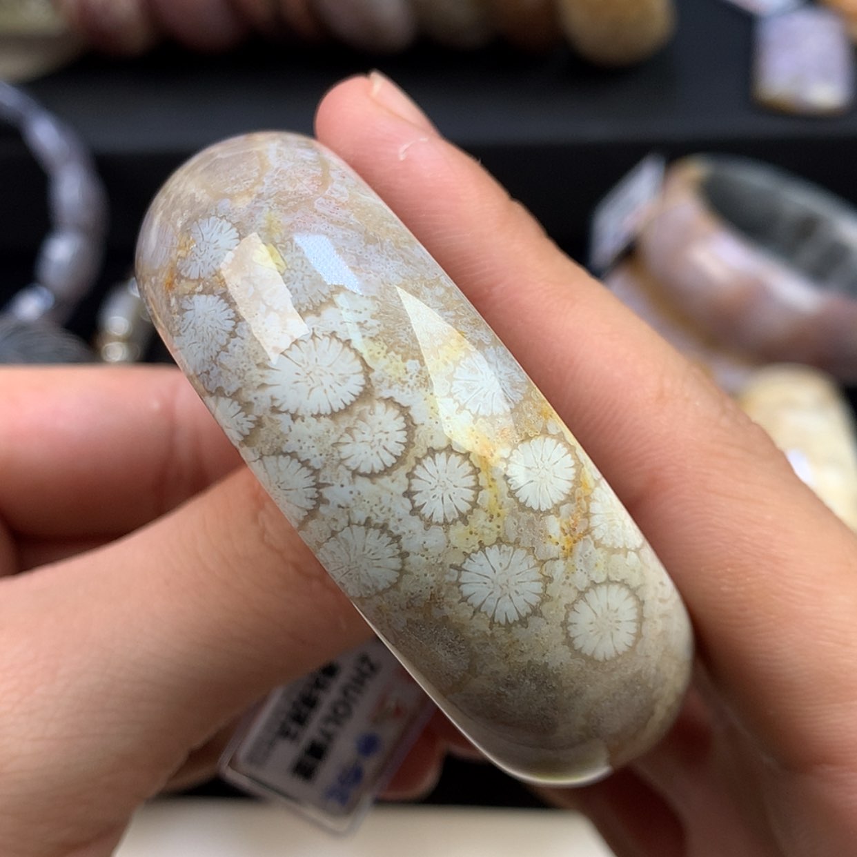 【闪购商品】颈饰未镶嵌硅化珊瑚（珊瑚玉）20号52.4圈