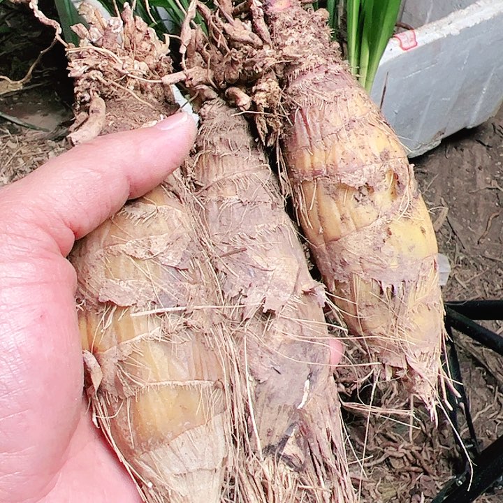 完全开放1111111111111111