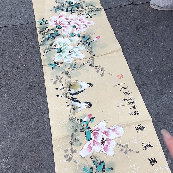 国画无毛和小刺被毛和