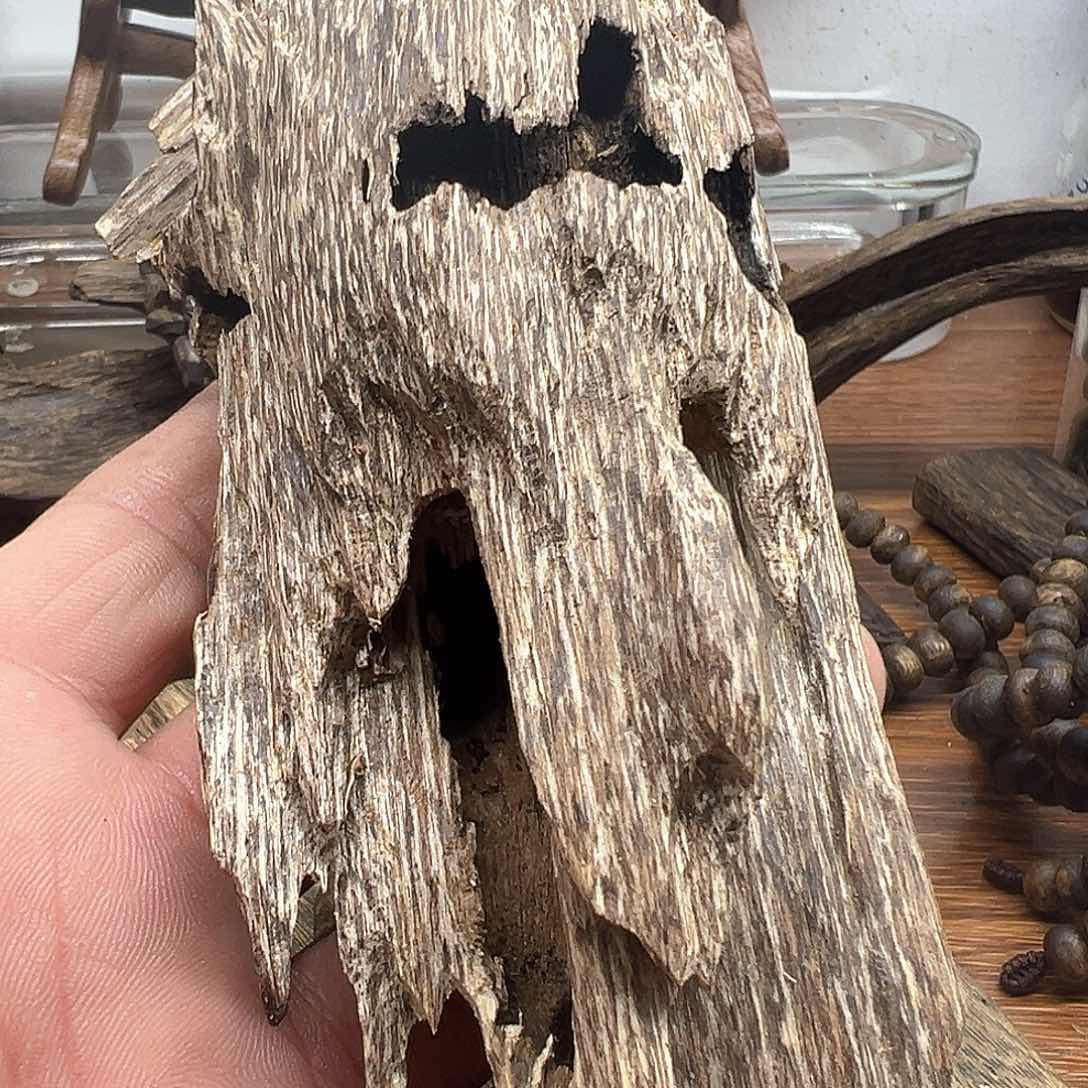 不****?手工艺／越南芽庄虫漏69克