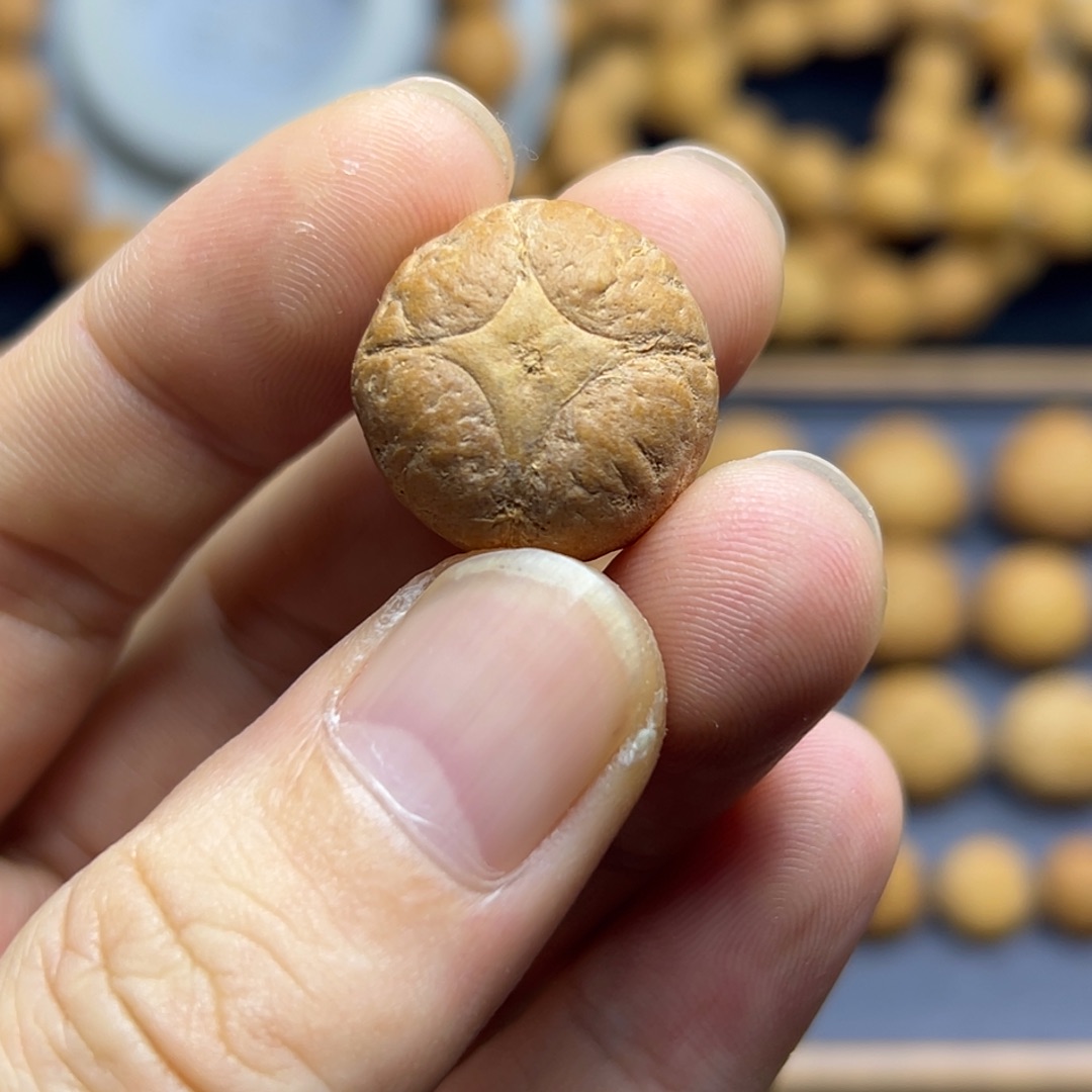 手串凤眼菩提20.3麒麟眼