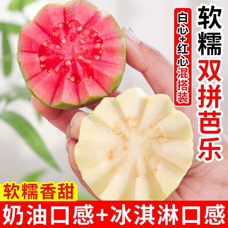 【软糯香甜白心芭乐水果、九甜一酸红心芭乐】次日达【保温袋发货】广西壮族自治区