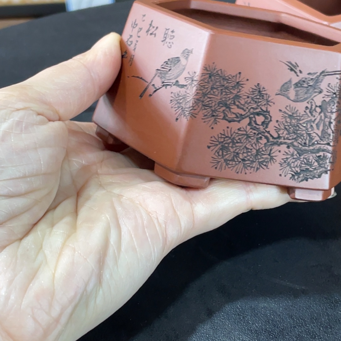 紫砂花盆你不在线