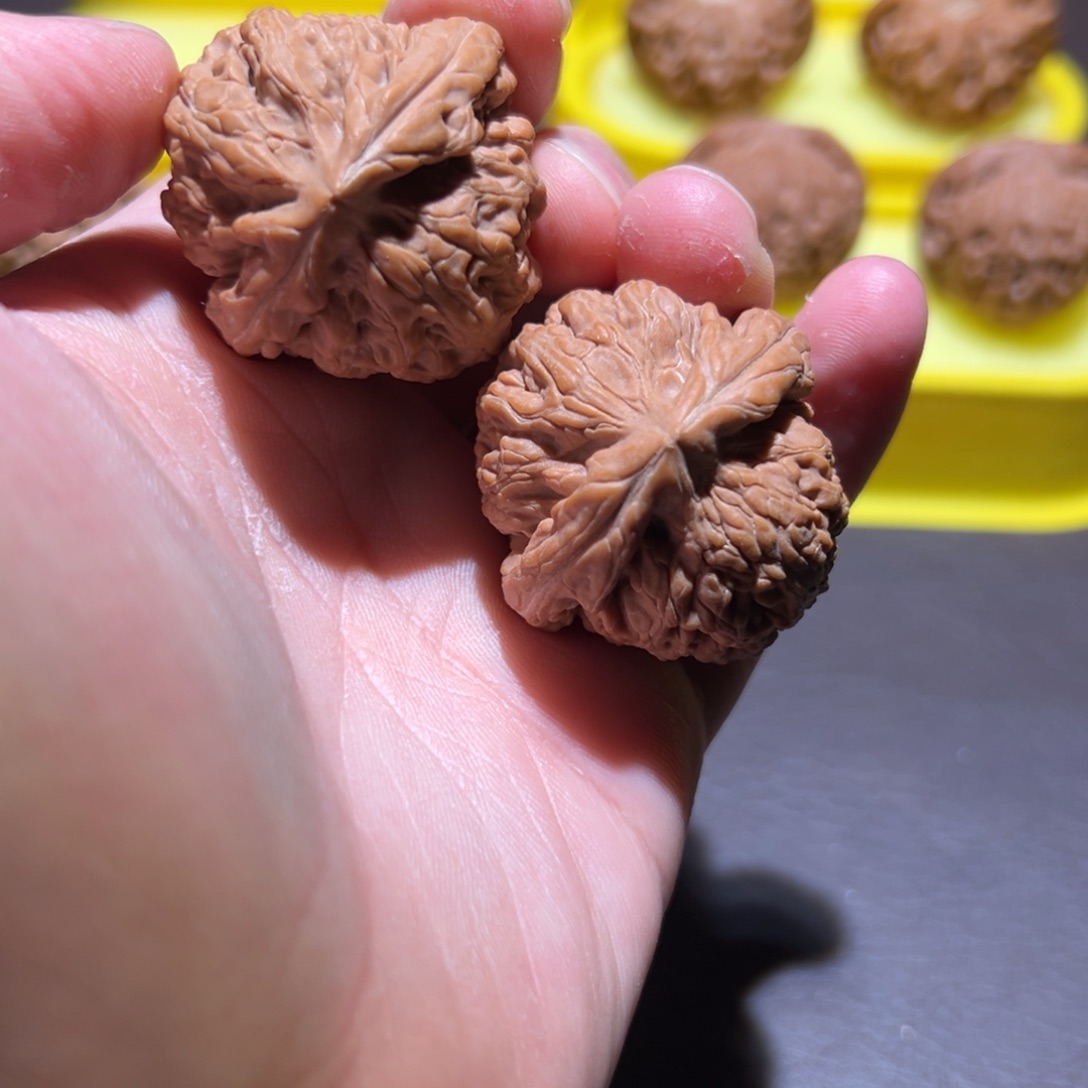 炸***雷核桃37全品三角红锦鲤