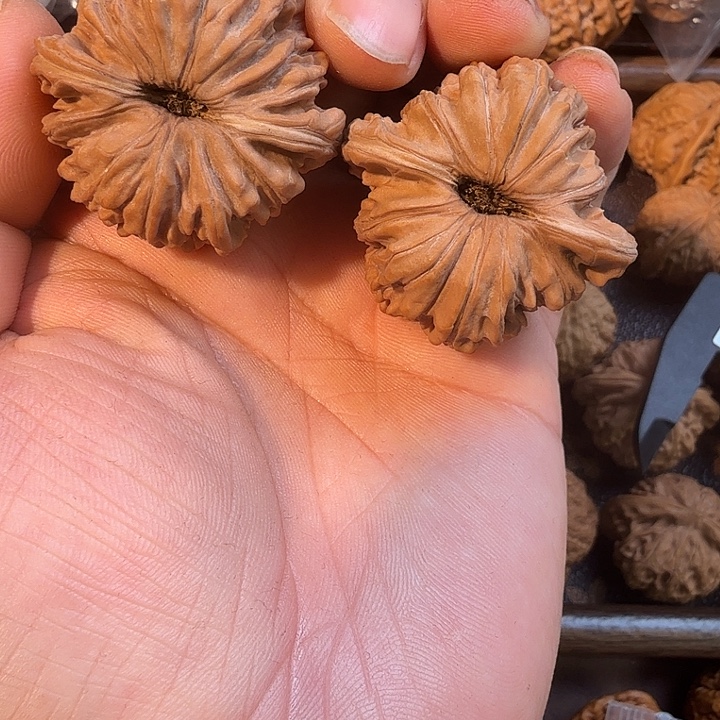 平***繁核桃全品四座楼核桃