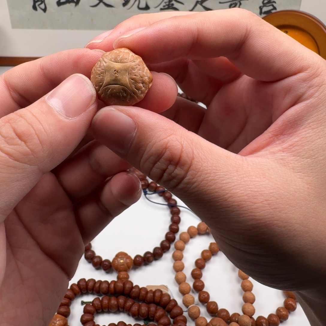 龙脊菩提吊坠凤眼菩提凤眼菩提