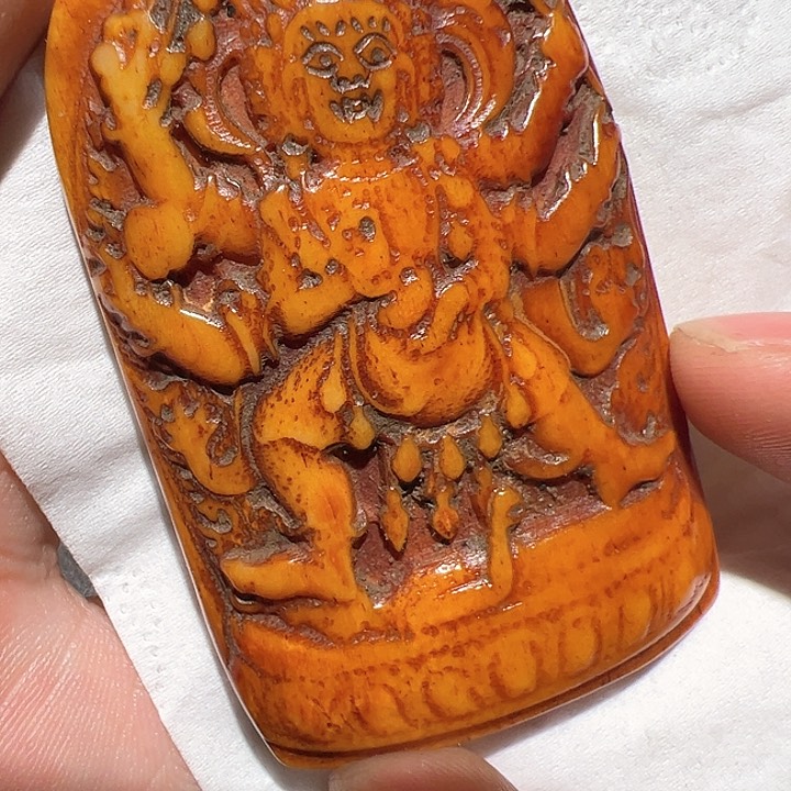 香榧木在这里的时候