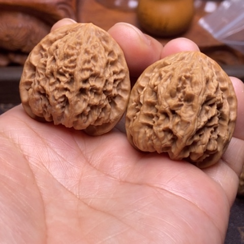 文玩核桃把件野牛36