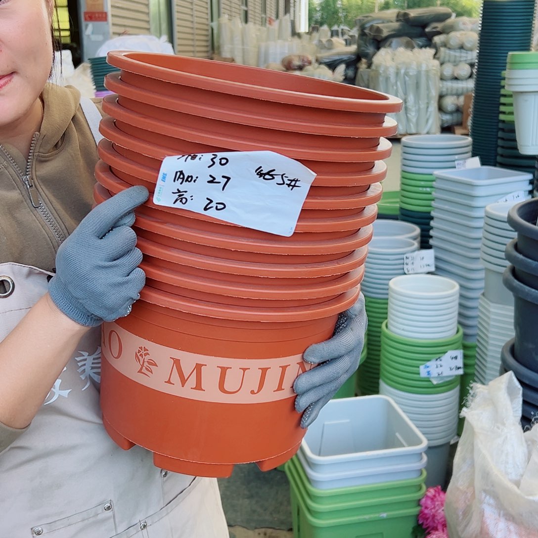 瑕疵矮胖5#红色10个无托