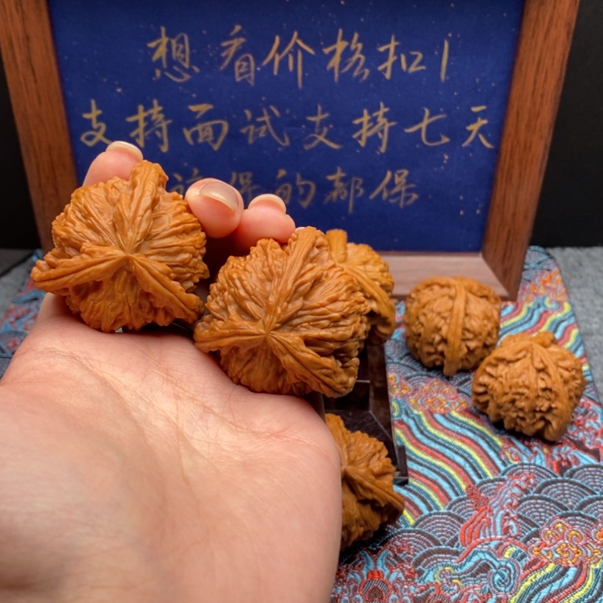 【闪购商品】被****?白狮