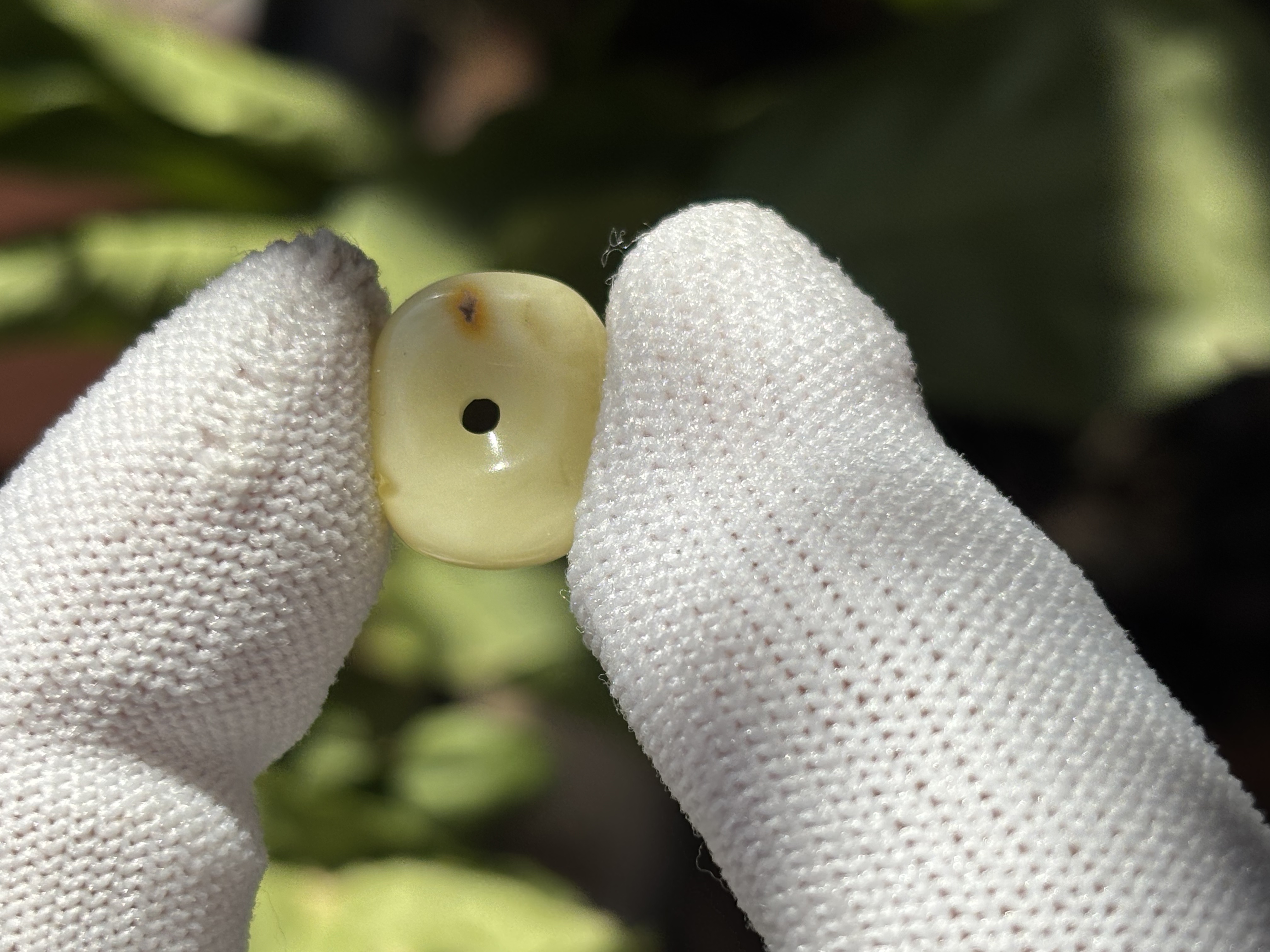 3894天然蜜蜡琥珀藏扣配饰12.4x14x3mm