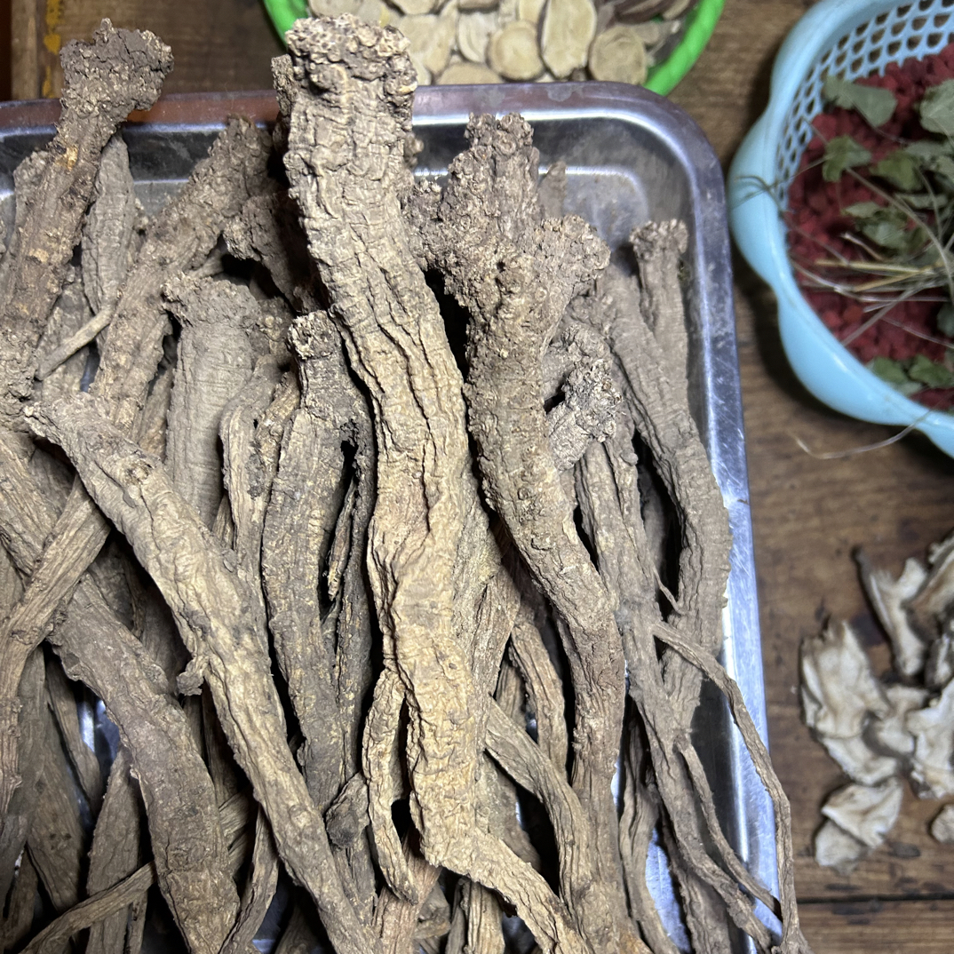 甘肃深山里的野生蛤蟆党干货