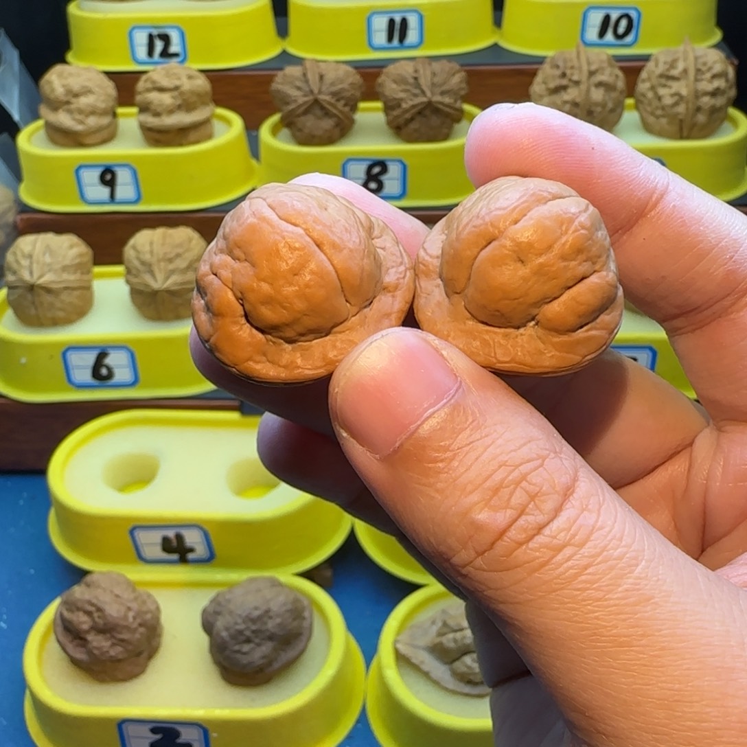 a***酒桃核把件金刚鹦蟾