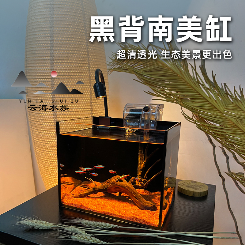 桌面免换水小鱼缸全套雨林风高级超白玻璃缸黑背斗鱼网红南美缸
