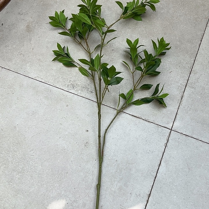 拍品大福利大福利