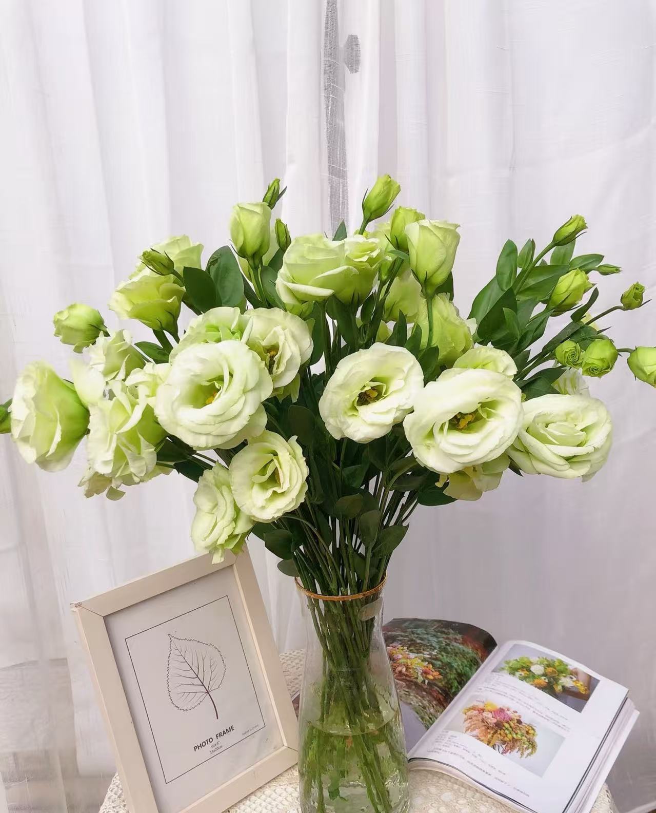 绿色洋桔梗花（云南基地直发 一单需补快递费）