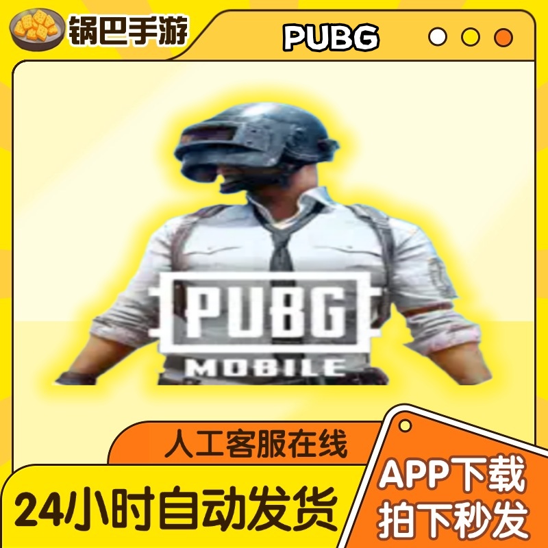 Pubg 刺激战场 国际版 中文 手游通用安装服务