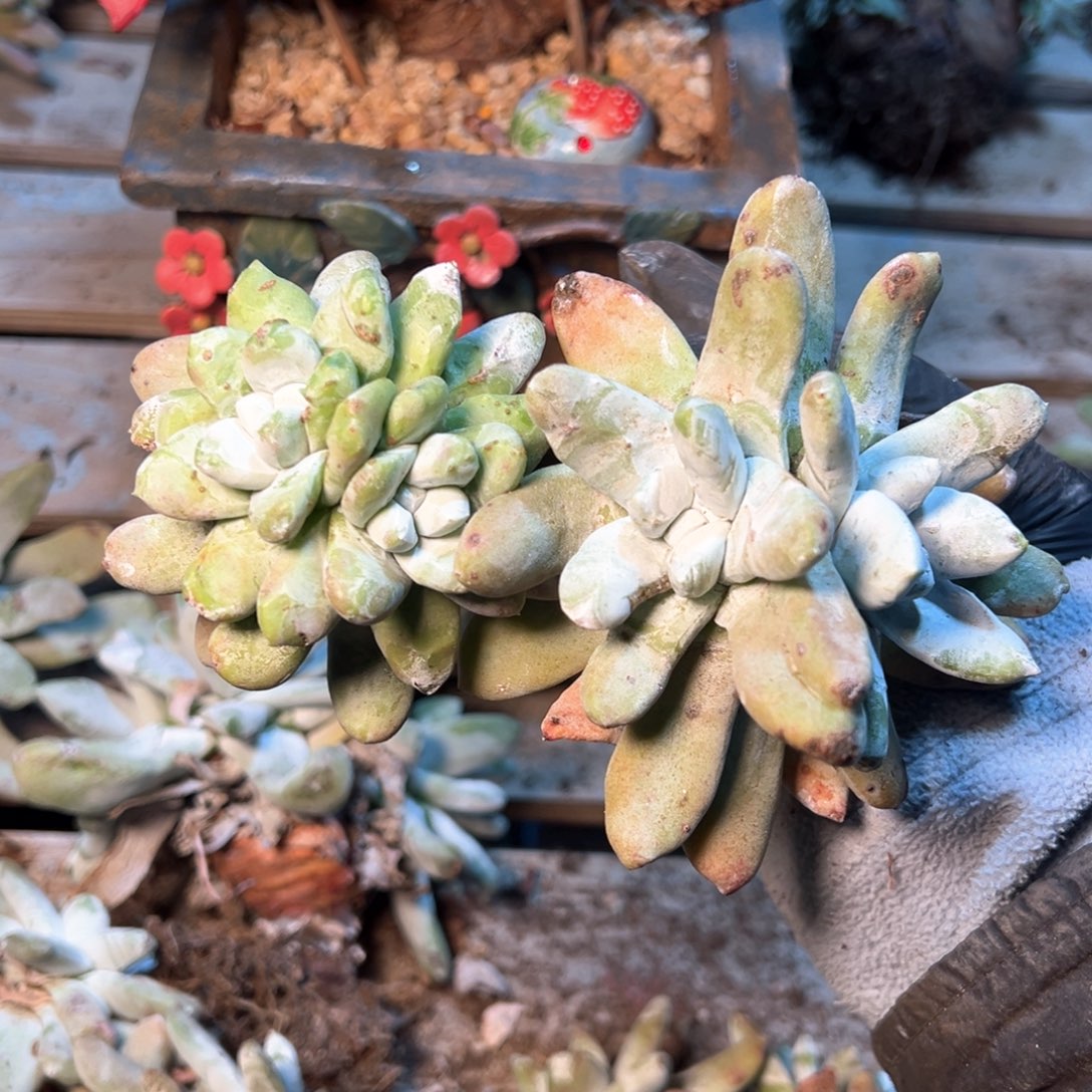 7916哈哈哈哈哈哈哈哈哈