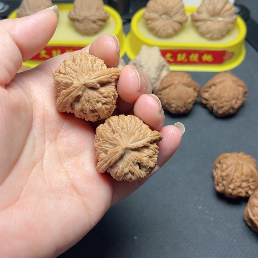 文玩核桃一物一拍35尺全品白狮子