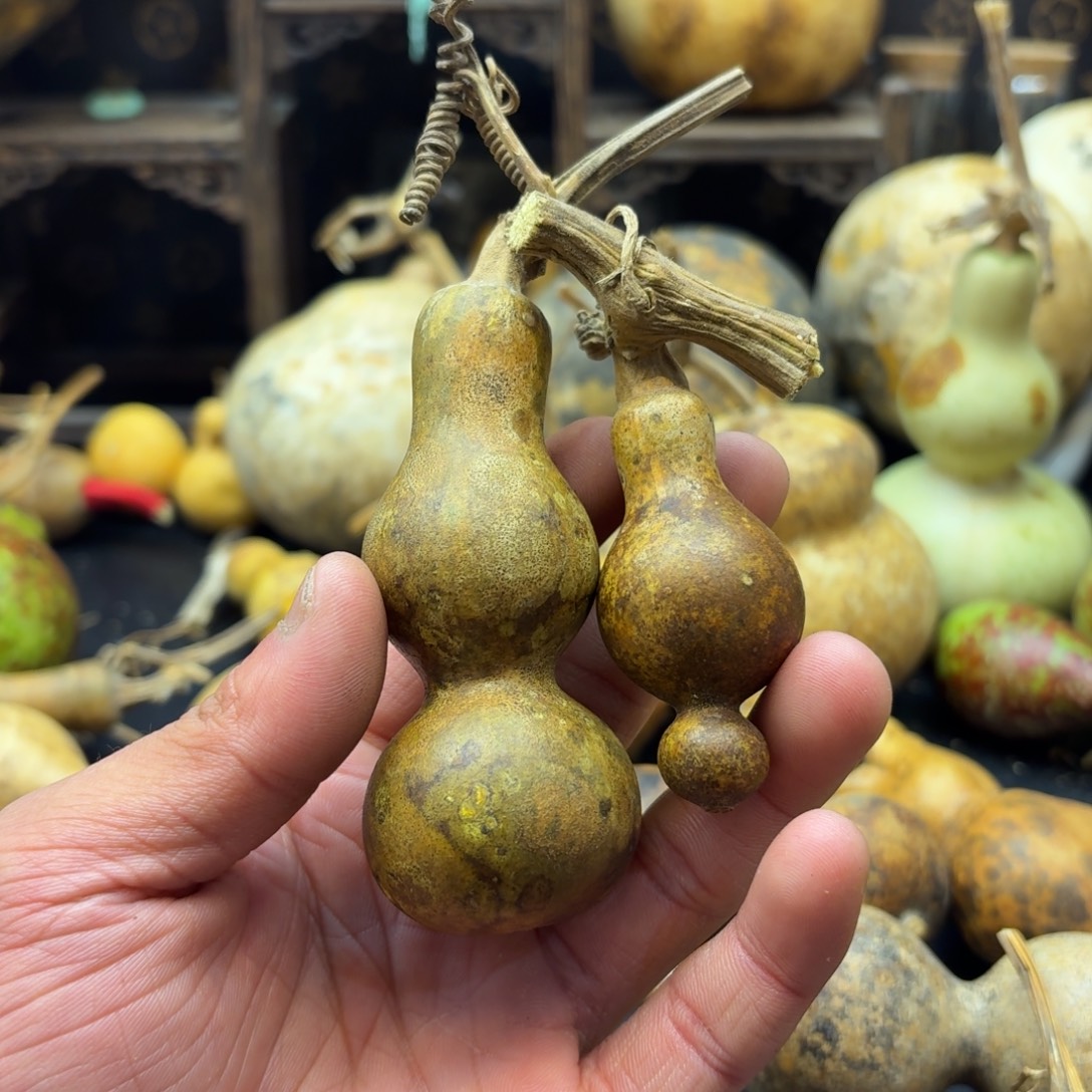 鹿***鸣香榧木哈哈哈哈哈哈哈哈