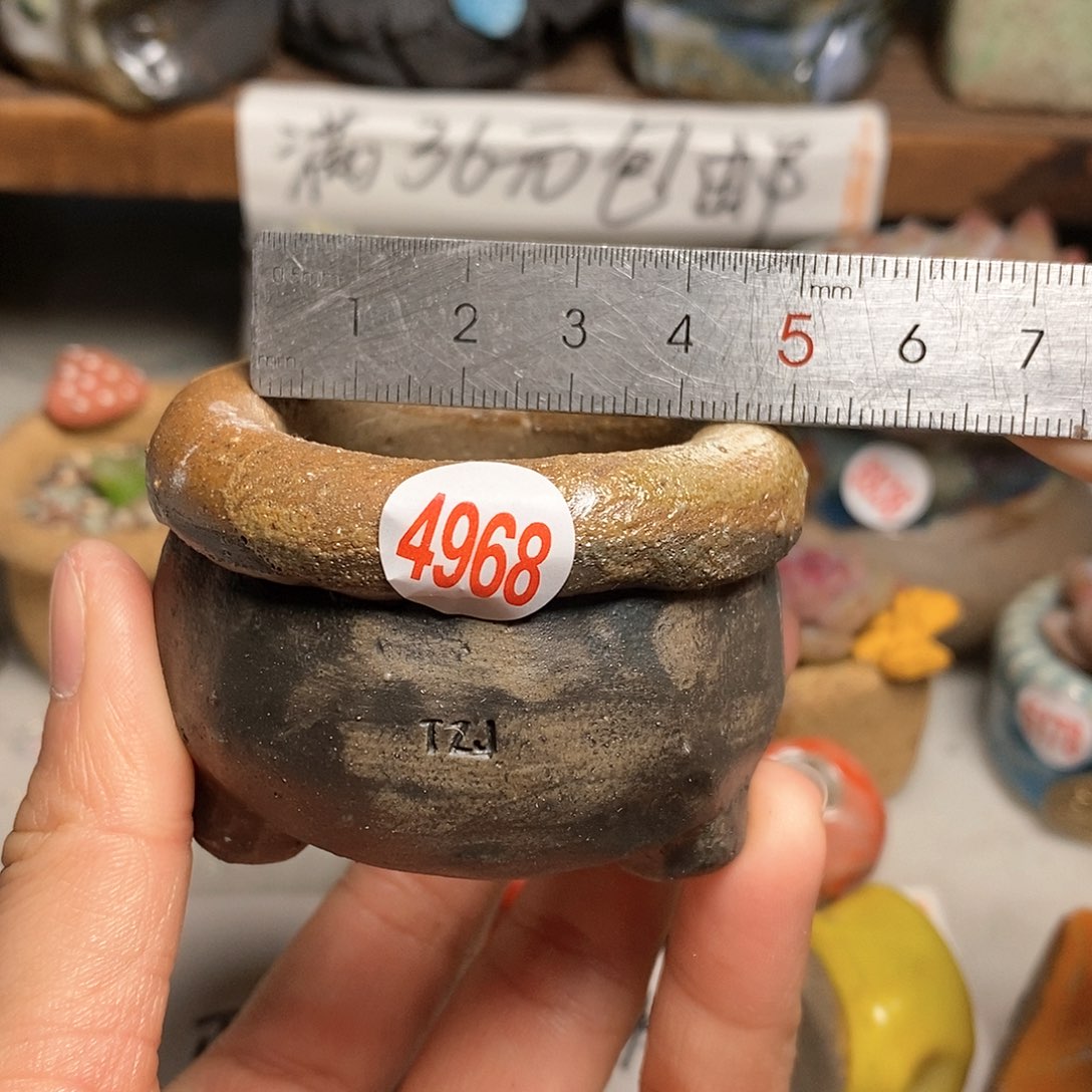 红陶拍5送一个小