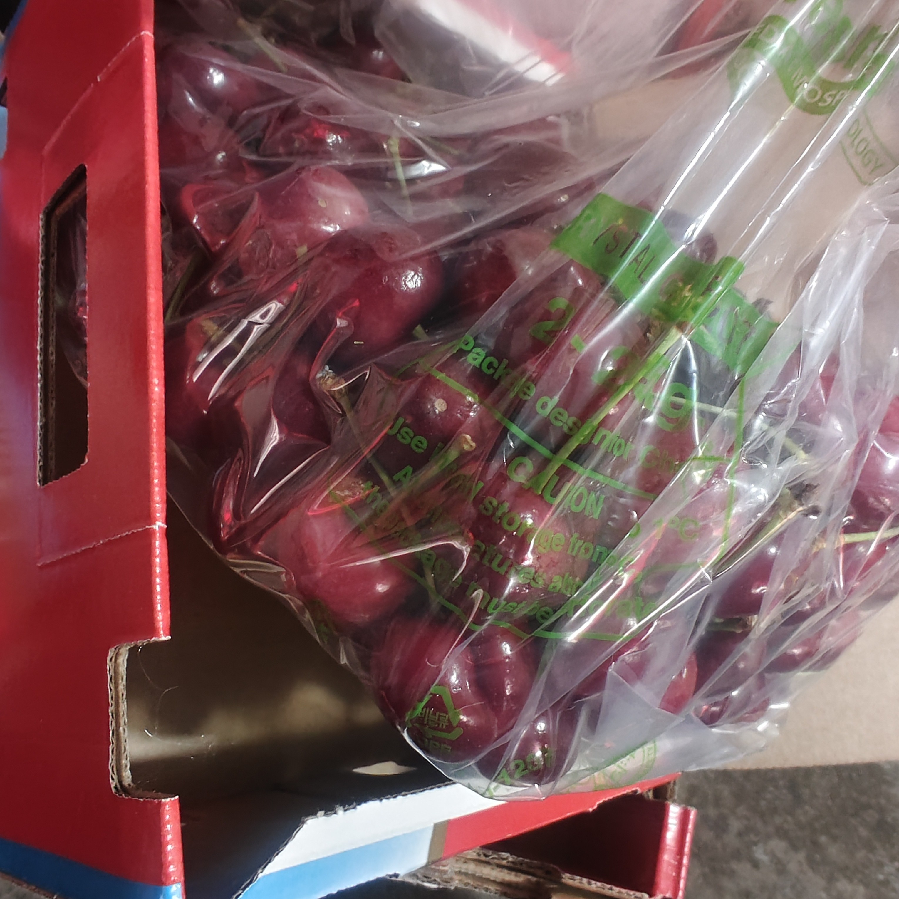 都乐海运蓝天白云五斤装3JD车厘子内附果径卡智利