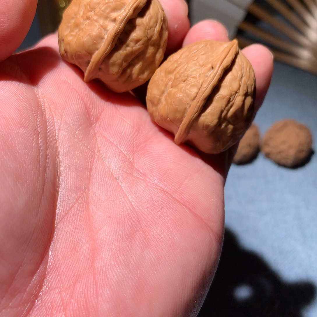 文***r文玩核桃吊坠石子蛙