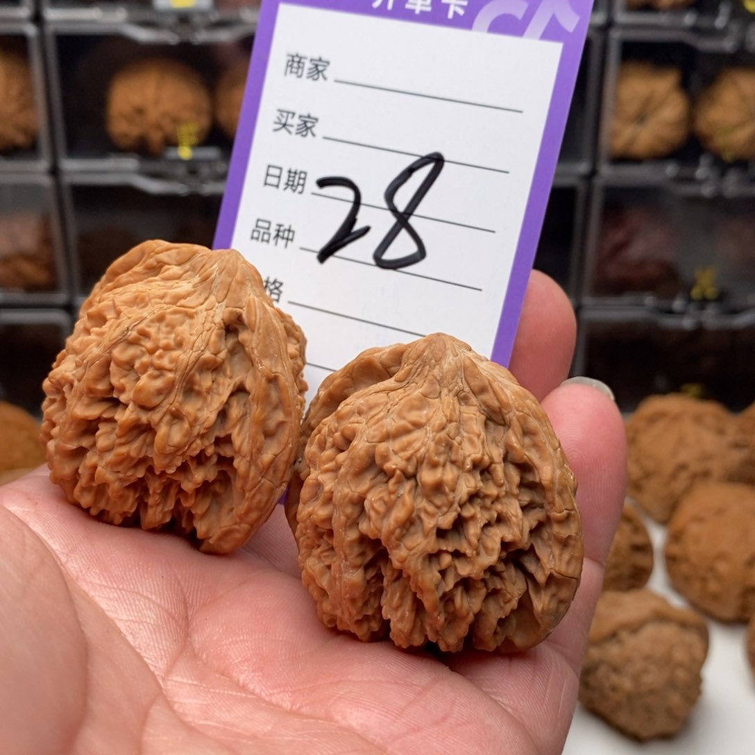 王**?44全品满天星狮子头