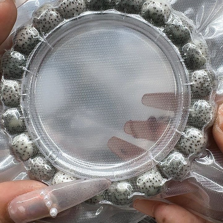 星月菩提手串518传说变态绿星月菩提11桶单圈