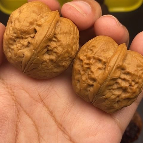 文玩核桃把件37尺扶摇元宝