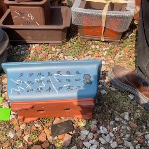 紫砂花盆紫砂花盆盆景盆栽