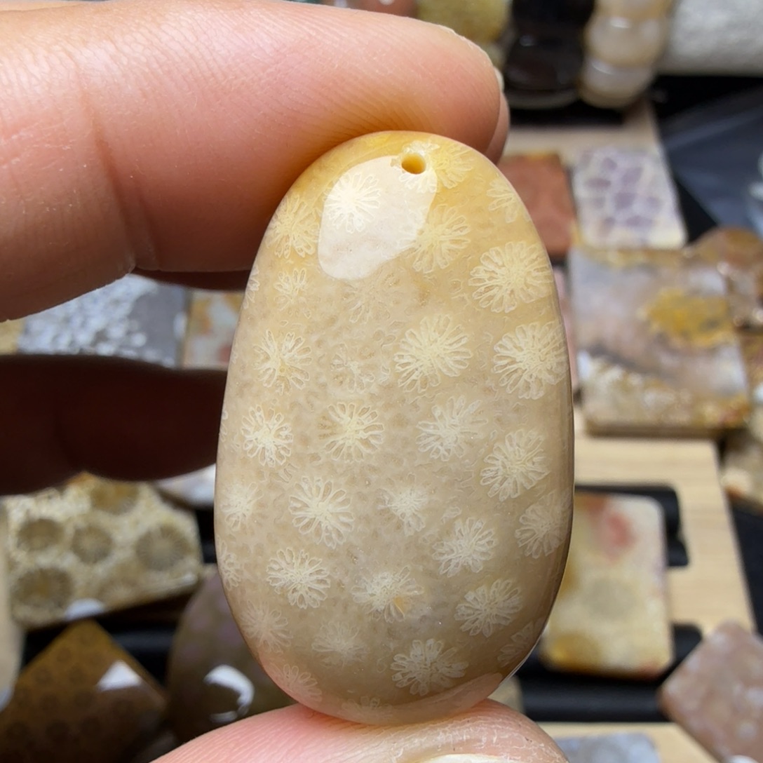 捡****硅化玉未镶嵌纯天然色有机玉石保真色